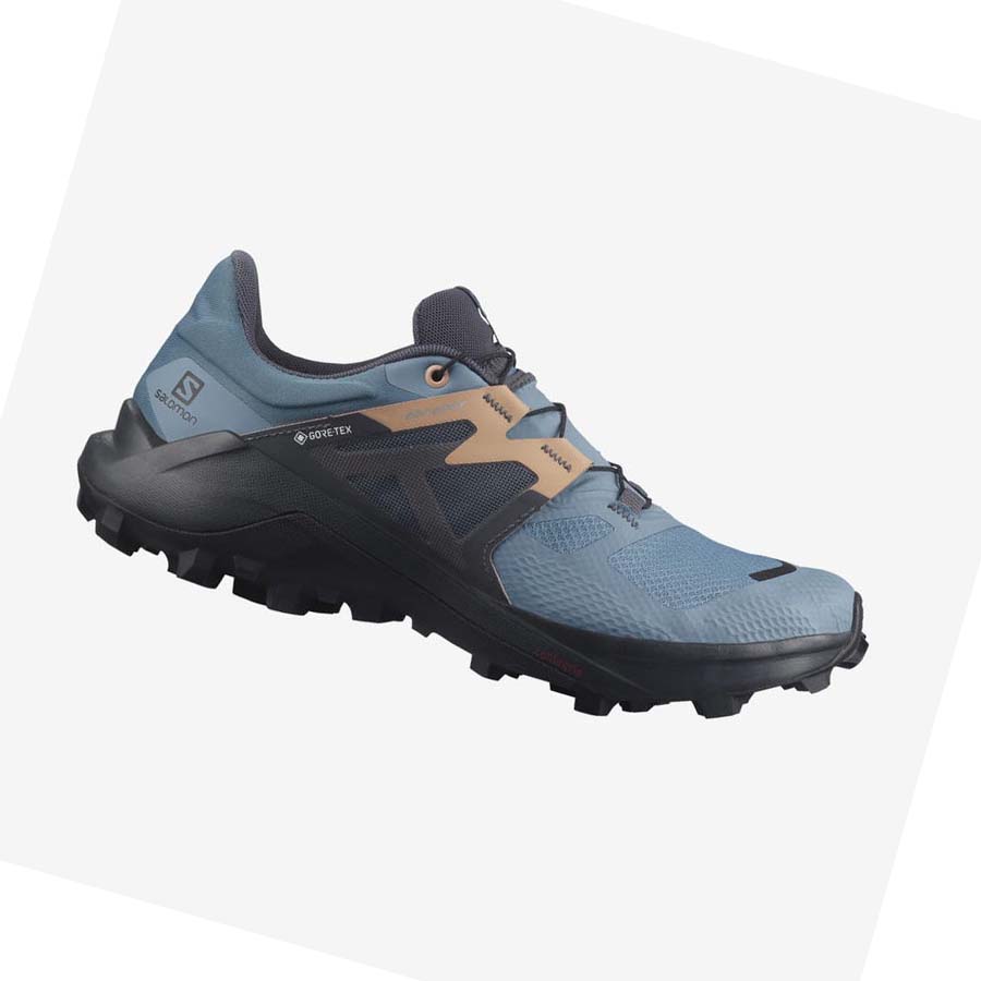 Salomon WILDCROSS 2 GORE-TEX Trail Futócipő Női Kék | HU 2856XYU